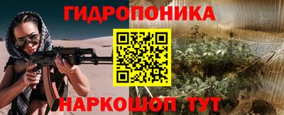 шишки Вязники