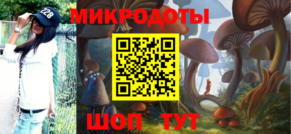 Псилоцибиновые грибы Psilocybine cubensis Артём